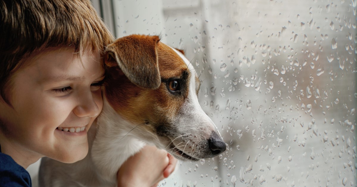 Rainy Day Activities for Dogs to Prevent Boredom